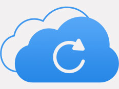 Backup Icon