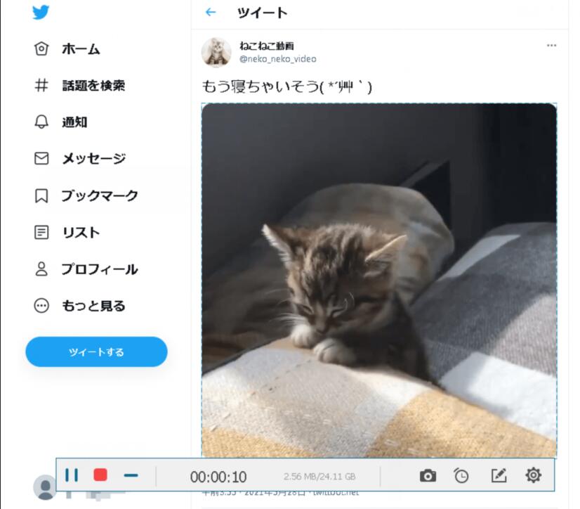 Twitter動画保存